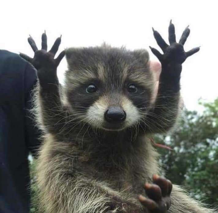 Juzzy profile picture